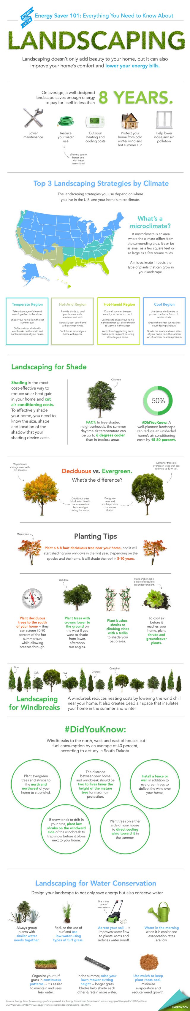  Energy Saving Landscaping Tips [Infographic]